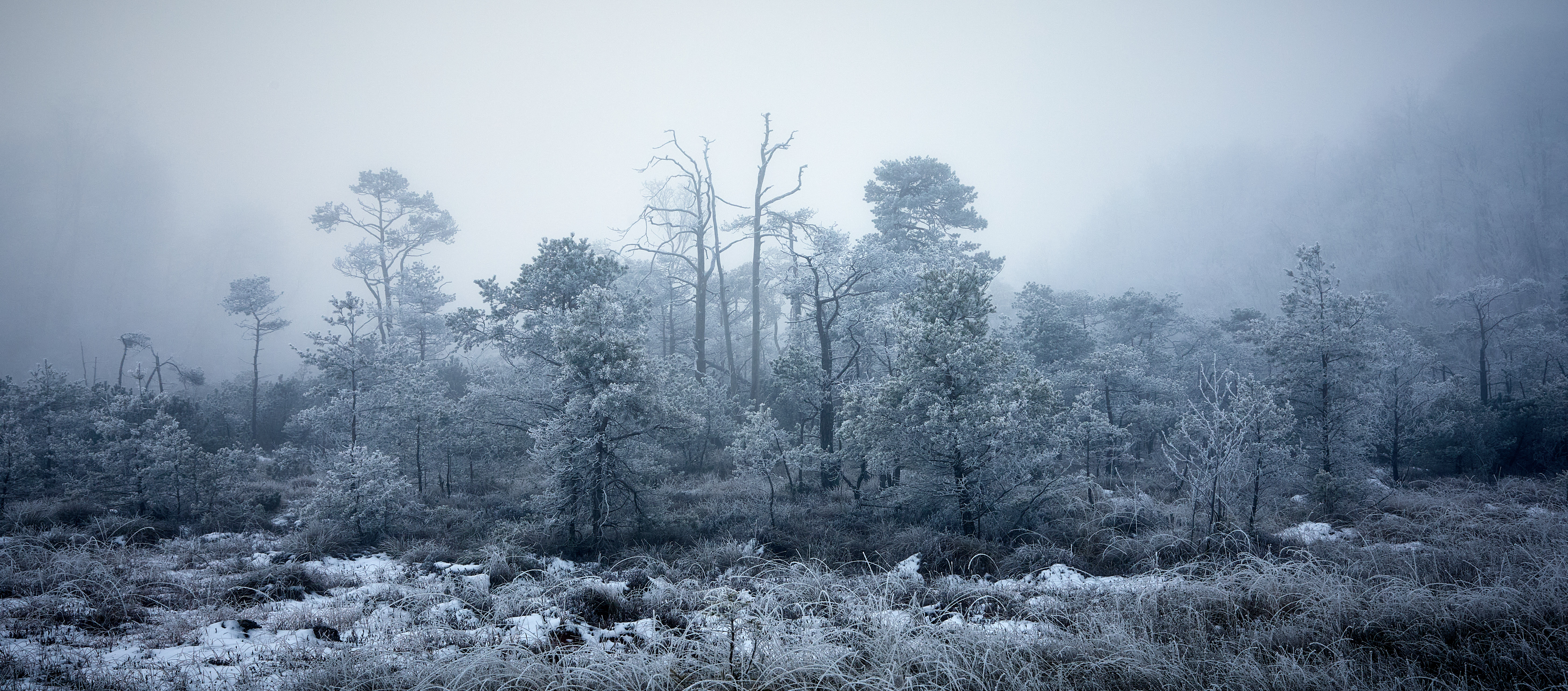 20241231 frosty Moor 055 1
